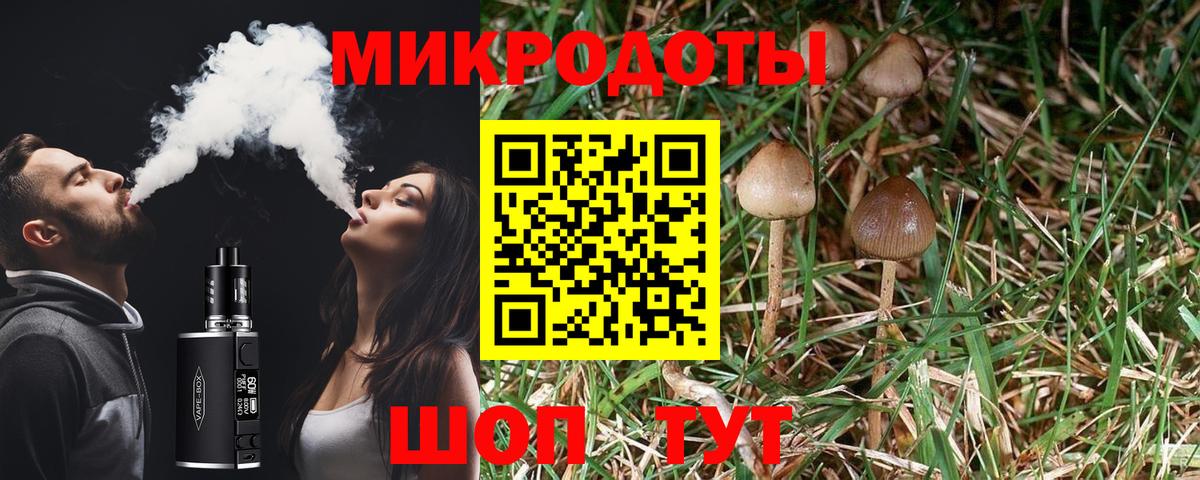 Псилоцибиновые грибы Magic Shrooms Губкинский